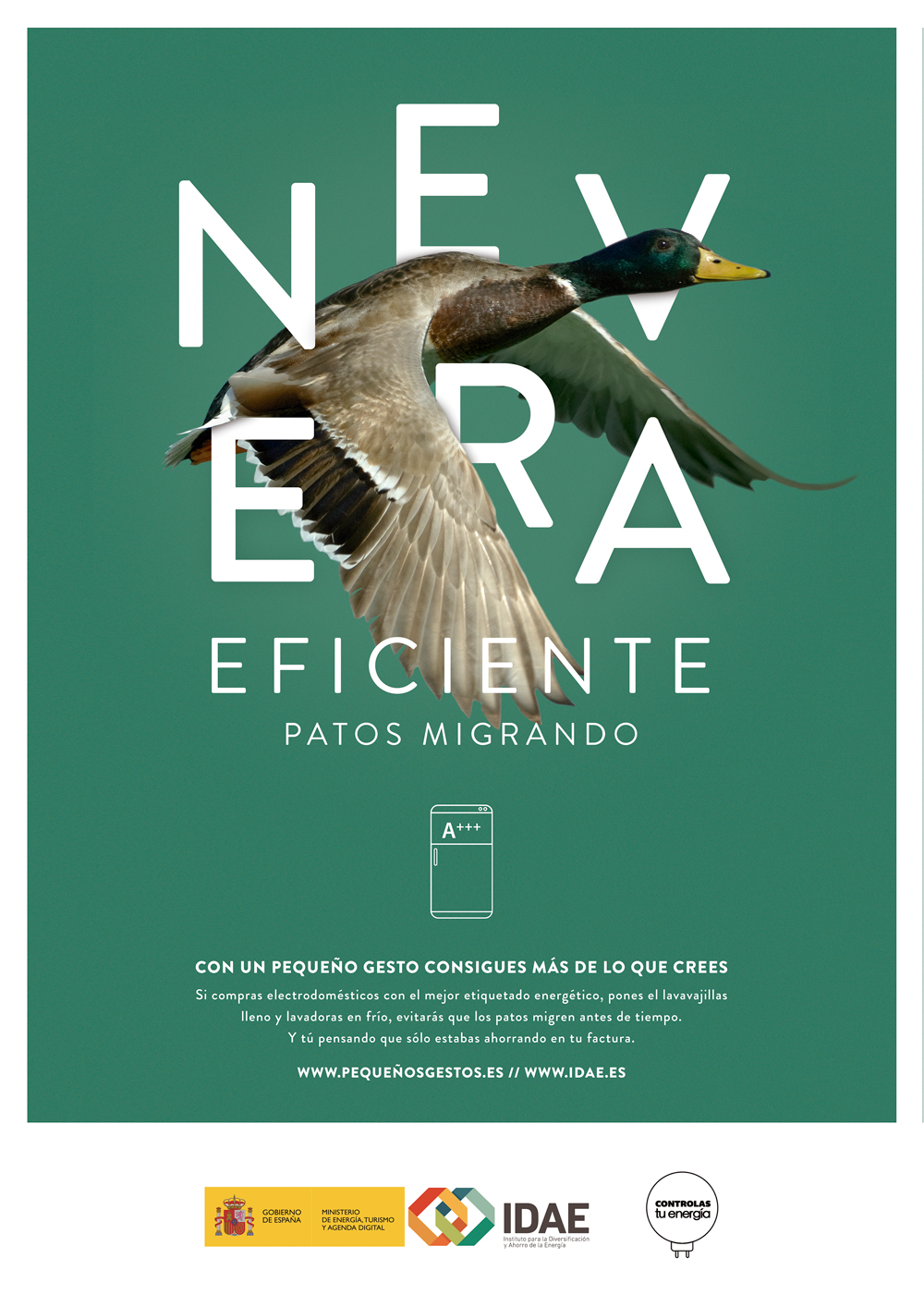 PATO